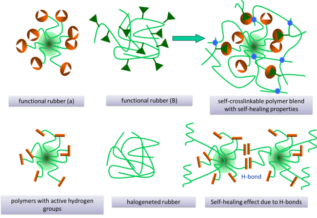 Self-healing Elastomers | Leibniz Institute For Polymer Research Dresden