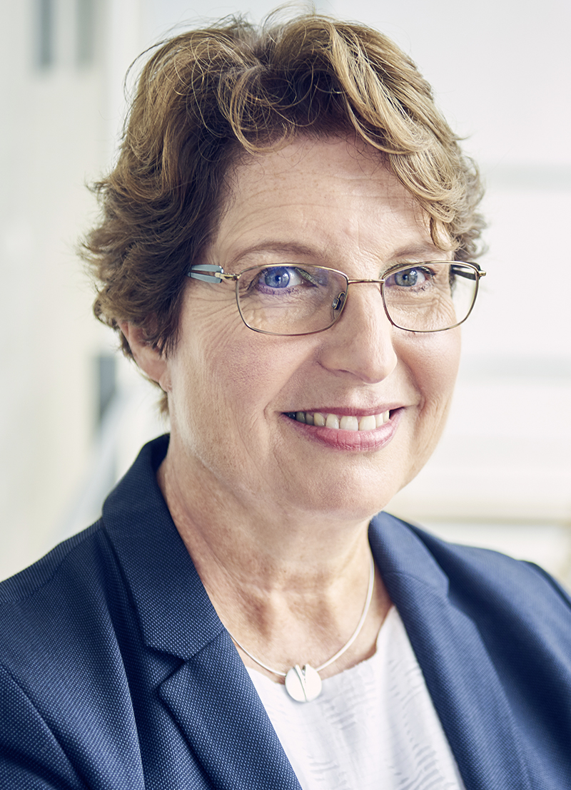 Prof Dr Brigitte Voit Leibniz Institute Of Polymer Research Dresden